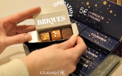Les briques Escalpade sont en vente chez Rigoptic !
