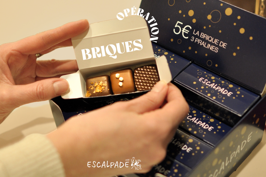 Les briques Escalpade sont en vente chez Rigoptic !